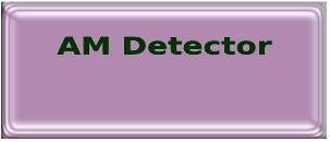 AM Detector