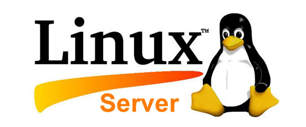 Linux Serve