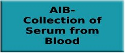 Collection of Serum from Blood